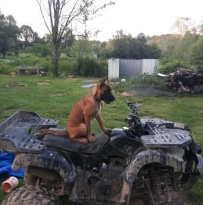 Meet your Posher, Jordan